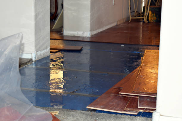 Professional Burst Pipe Cleanup technician working in Franklin, VA