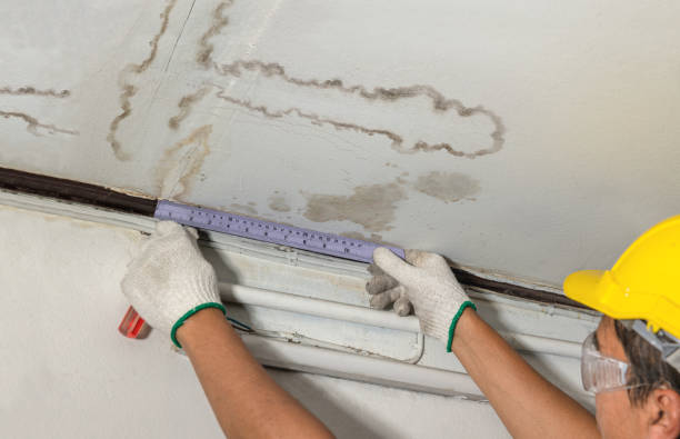 Reliable Burst Pipe Cleanup contractor in Franklin, VA by Water Damage Irwin